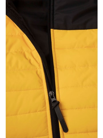 Coccodrillo Winterjacke in honiggelb