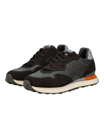 Napapijri Sneaker Grau/Braun