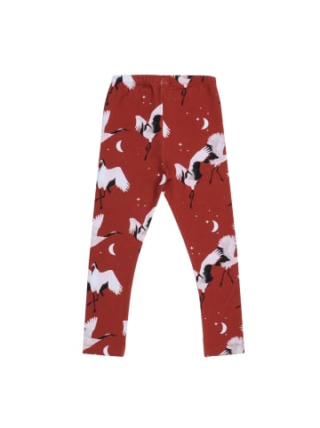 Walkiddy Leggings Leggings aus Baumwolle (Bio)