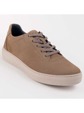 Purapiel Sneakers Sneaker Novas in Beige