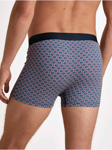 Calida Herren Shorts in Amaranth