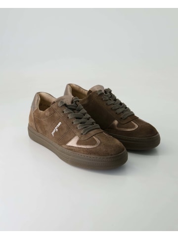 Paul Green Sportliche Schnürschuhe in Braun
