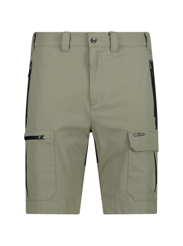 cmp Bermuda in sage