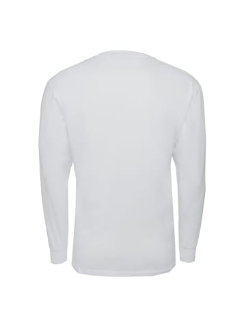 Napapijri Langarmshirt S-Box LS 2 in weiss