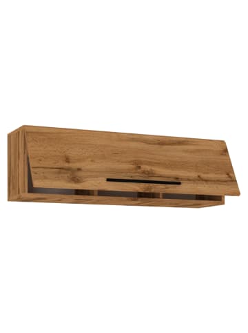 VCM Holz Wandregal Wandschrank Klappschrank Arila L in Honig-Eiche