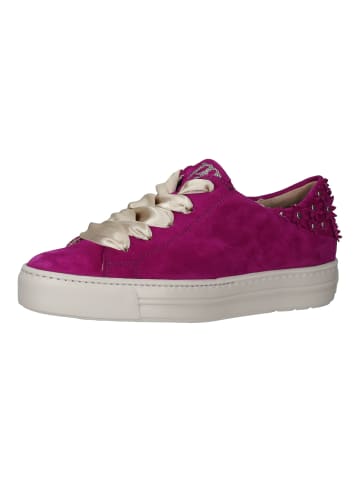 Paul Green Sneaker in Fuchsia