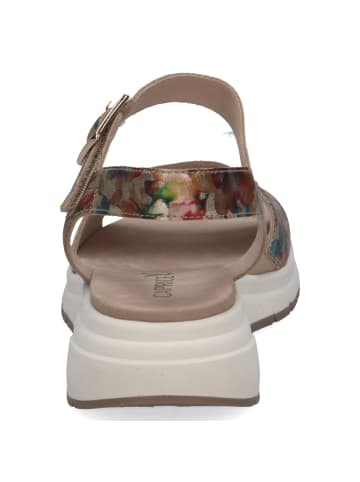 Caprice Sandalette in mehrfarbig