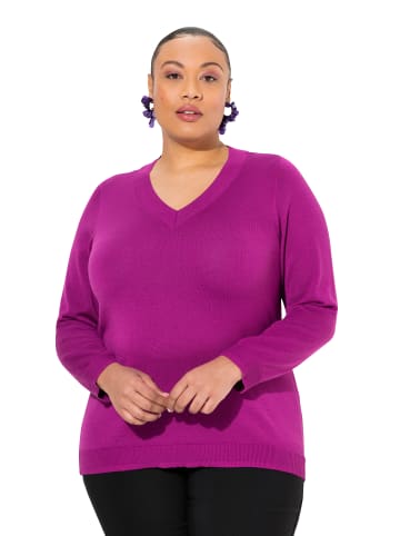Ulla Popken Pullover in beere