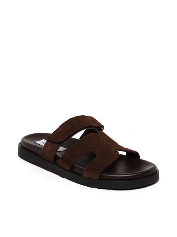 Steve Madden Pantolette in braun