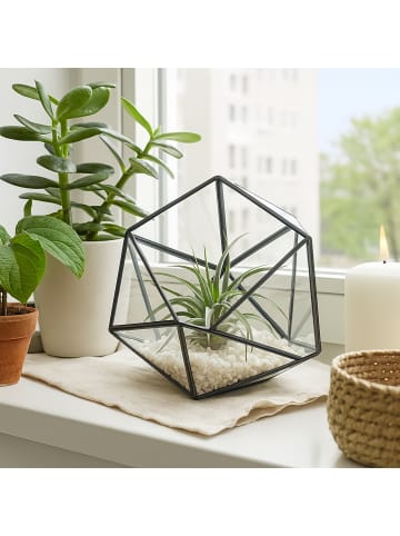 relaxdays Pflanzenterrarium "geometrisch" in Schwarz - (B)17 x (H)16 x (T)20 cm