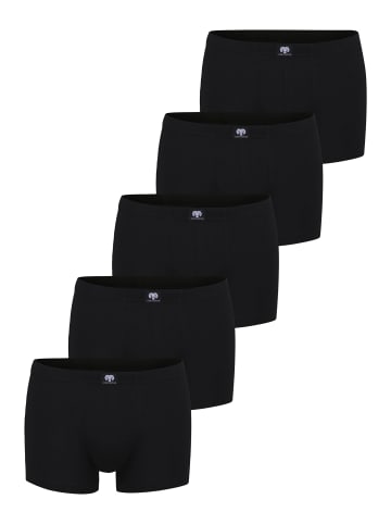 CECEBA Pants 5Er Pack Daytona in black