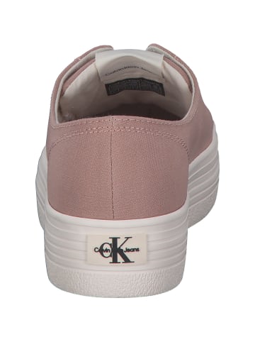 Calvin Klein Schnürschuhe in cafe creme