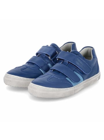 Däumling Low Sneaker BJARNE in Blau