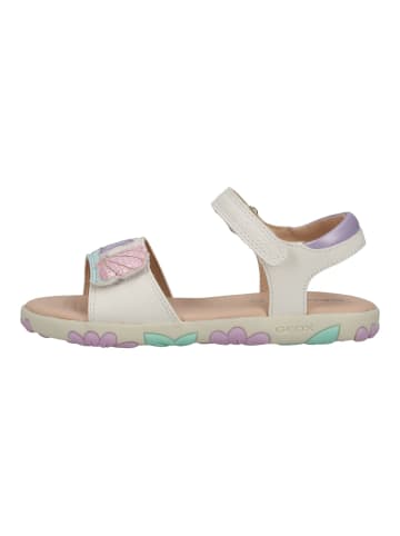 Geox Sandalen in Weiß/Pink