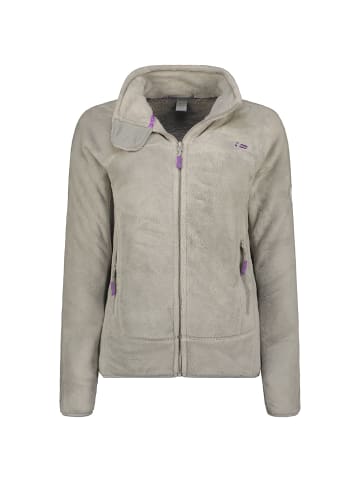 Geographical Norway Fleecejacke in Grau