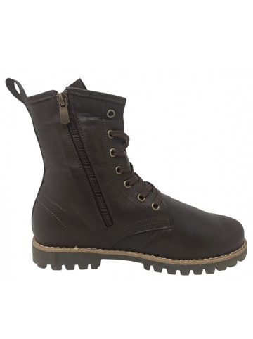 Andrea Conti SHOES Schnürstiefel  in Braun