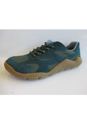 KOEL Barfußschuhe Ralph in Grün