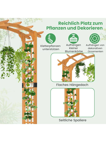 COSTWAY Rosenbogen Holz 160 x 60 x 229 cm in Orange
