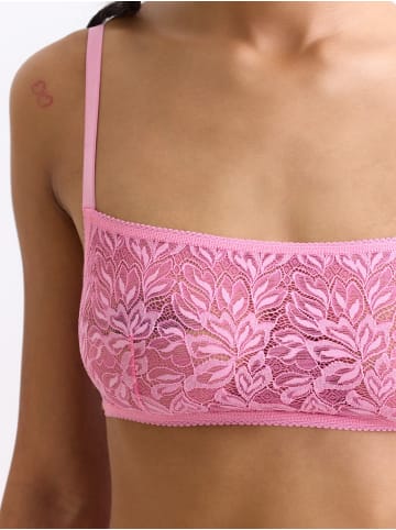 Erlich Textil  Erlich Textil Spitzen Bustier ICONIC LACE BANDEAU BRALETTE in bubblegum