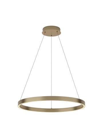 Licht-Erlebnisse Kronleuchter EEK G Ø 60 x (T)20 cm in Messing