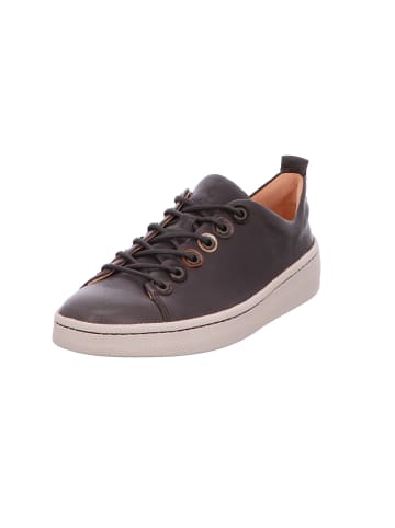 Think! Schnürschuh in braun