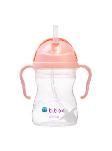 B. Box Trinkflasche Kinder 240 ml mit Strohhalm und Griffen - Ab 6 Monate in Rosa