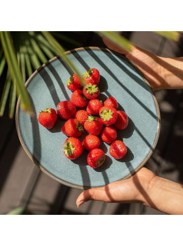 like. by Villeroy & Boch 8er Set Einsteiger-Set Lave in Glacé