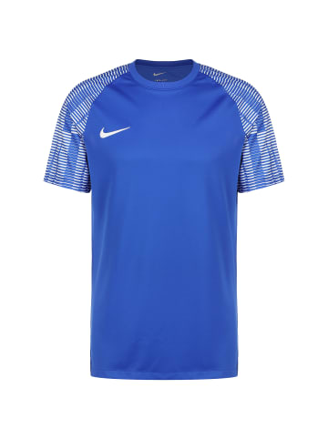 Nike Performance Fußballtrikot Dri-Fit Academy in blau / hellblau