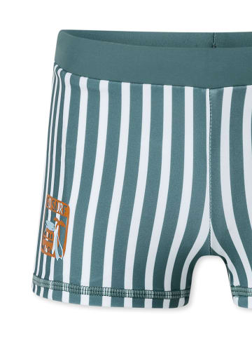 Schiesser Badehose Aqua Kids in mineral