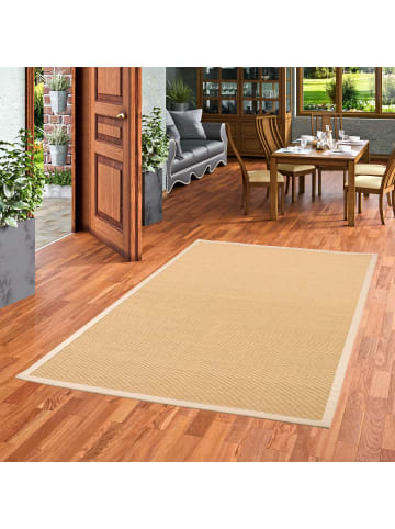 Pergamon Sisal Teppich mit Bordüre in beige