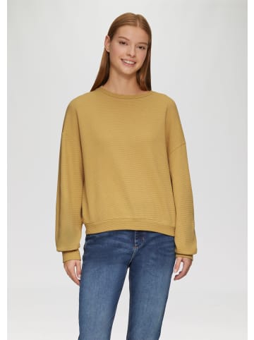 QS Sweatshirt in 1602_goldgelb