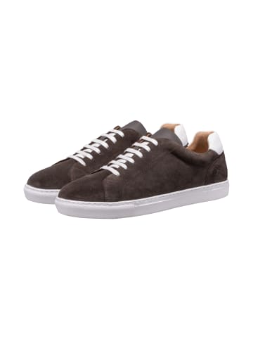 JOOP! Sneaker 'Velo Stampa Cody in Dunkelbraun'
