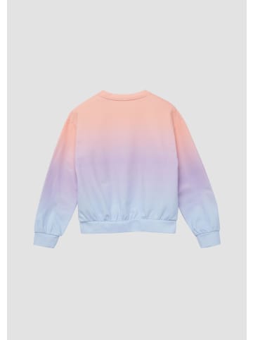 s.Oliver Sweatshirt in 51D2_arktisblau