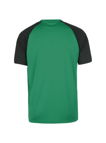 Puma Fußballtrikot TeamPACER in grün / schwarz