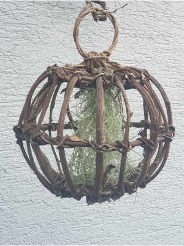 MeinVIPShop Hanging Ball XXL 30cm mit Tillandsie spanisch Moos