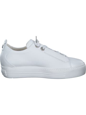 Paul Green Schnürschuhe in white/silver