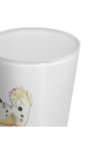 Mr. & Mrs. Panda Shotglas Hund Australien Shepherd ohne Spruch in Transparent