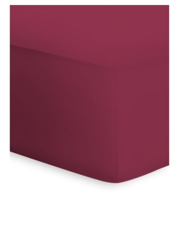 Bassetti Spannbettlaken Boxspring in bordeaux