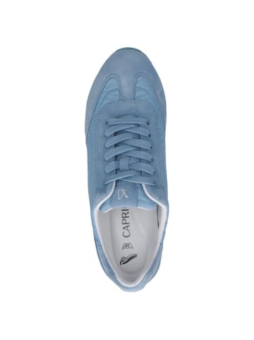 Caprice Sneaker in BLUE SUEDE