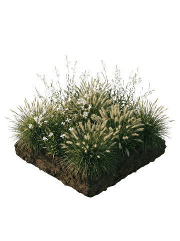 NatureNest 9er: Set Beetpaket Luna Pflanzen in Multicolour 1m2