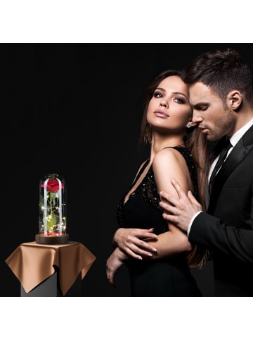 relaxdays Ewige Rose in Rot