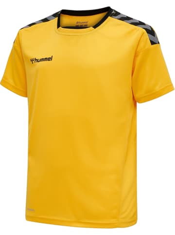 Hummel Hummel T-Shirt Hmlauthentic Multisport Kinder Atmungsaktiv Schnelltrocknend in SPORTS YELLOW/BLACK