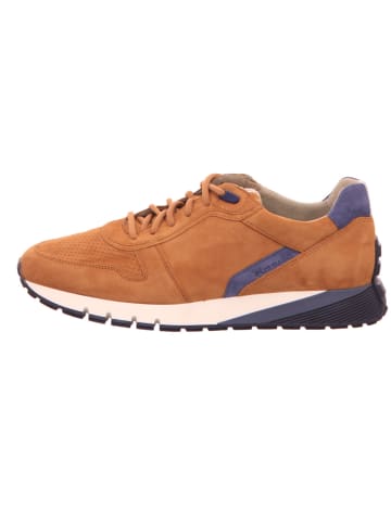 Gabor Sneaker für Herren in orange