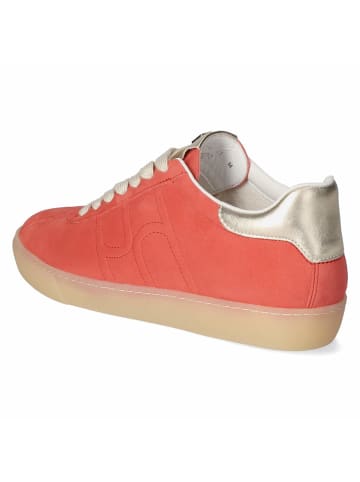 Högl Schnürhalbschuh in rot