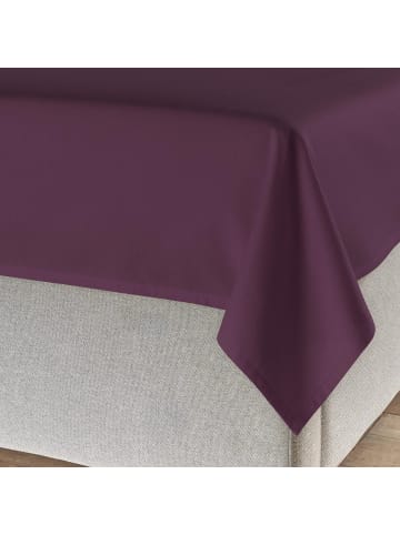 Traumschlaf Spannbettlaken Feinbiber Haustuch Bettlaken in beere