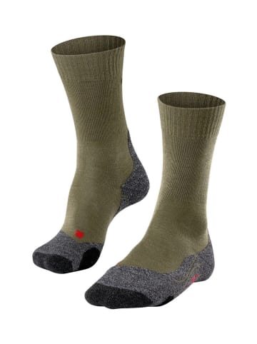 Falke Socken 1er Pack in Olivgrün