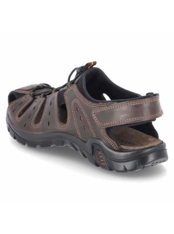 Beliano Sandalette in braun