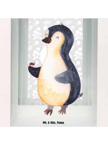 Mr. & Mrs. Panda Laterne Pinguin Marienkäfer ohne Spruch in Transparent