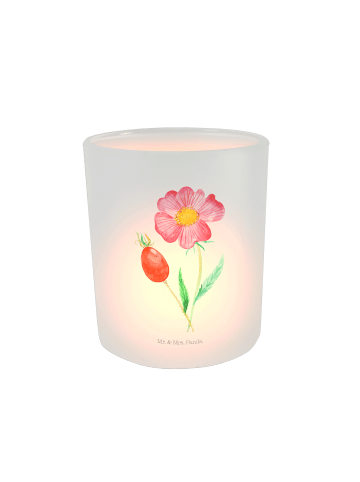 Mr. & Mrs. Panda Glas Windlicht Blume HageRundunge ohne Spruch in Transparent