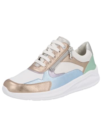 Solidus Damen- Schnürschuhe Kitty - Weite K in Bunt